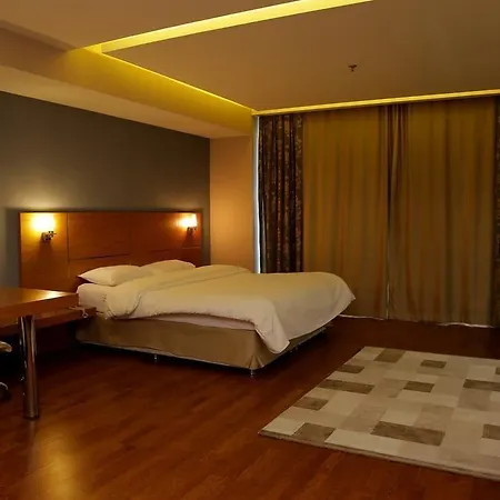 Hotel Anemon Kent Cigli 4*